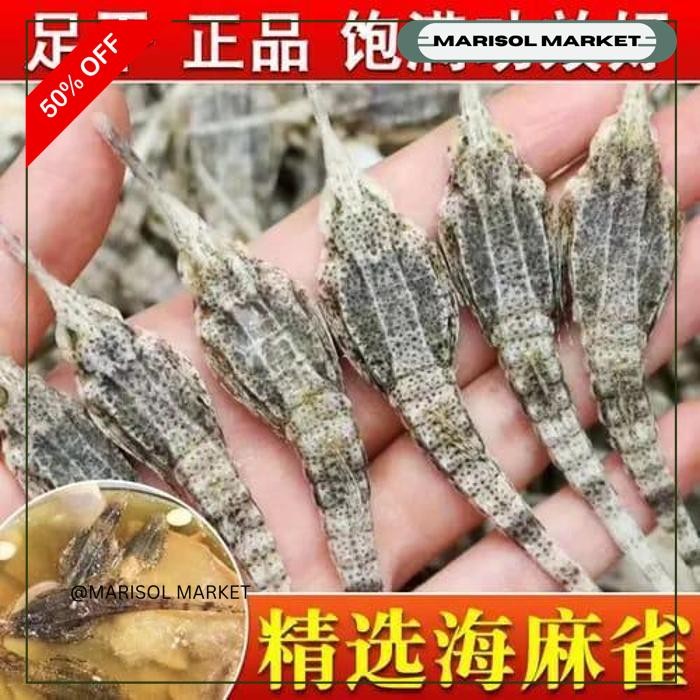 

HAI MA QUE 100G / BURUNG LAUT KERING KHASIAT SPRTI KUDA LAUT OBAT PRIA BERKUALITAS TINGGI