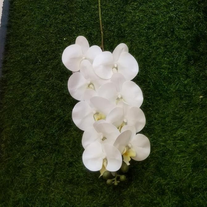 Anggrek latex putih / Anggrek bulan putih / Bunga anggrek artificial