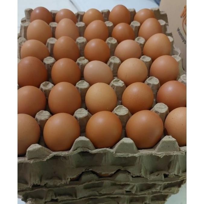 

(Expert) Telur Ayam Negeri 1kg 16,17 - 18 butir ( /sameday)