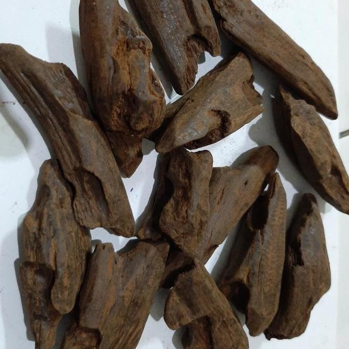 kayu gaharu Merauke papua GMSS01