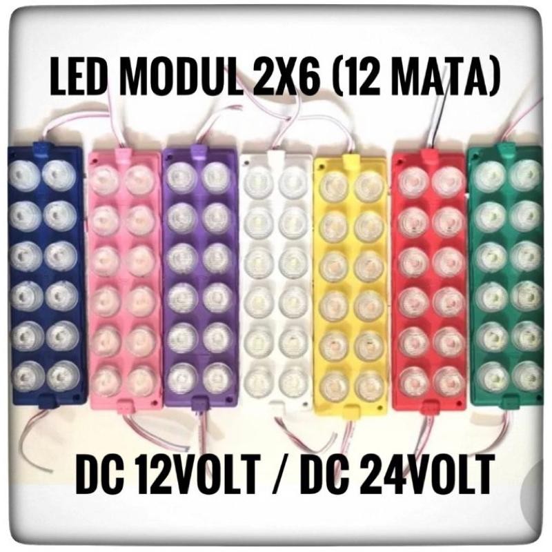 Tasya* 12Volt/24Volt - Modul Led 12 Mata Besar 2X6