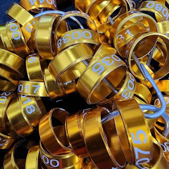 ring ayam tarung 5buah gelang kaki tanda ayam spt wing band warna nomo