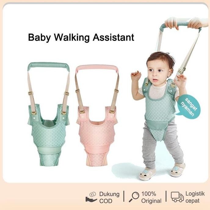 Alat bantu jalan bayi / walk carrier / alat tuntun jalan bayi / alat bantu belajar jalan