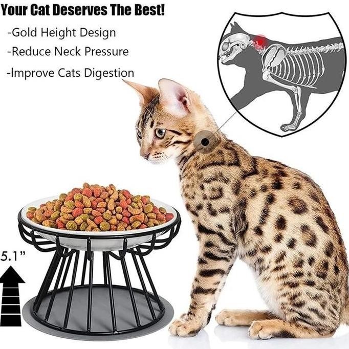 AimayaPet Tempat Makan Anjing Kucing Mangkuk Hewan Keramik/Mangkuk Kucing Keramik Tempat Makan Kucin