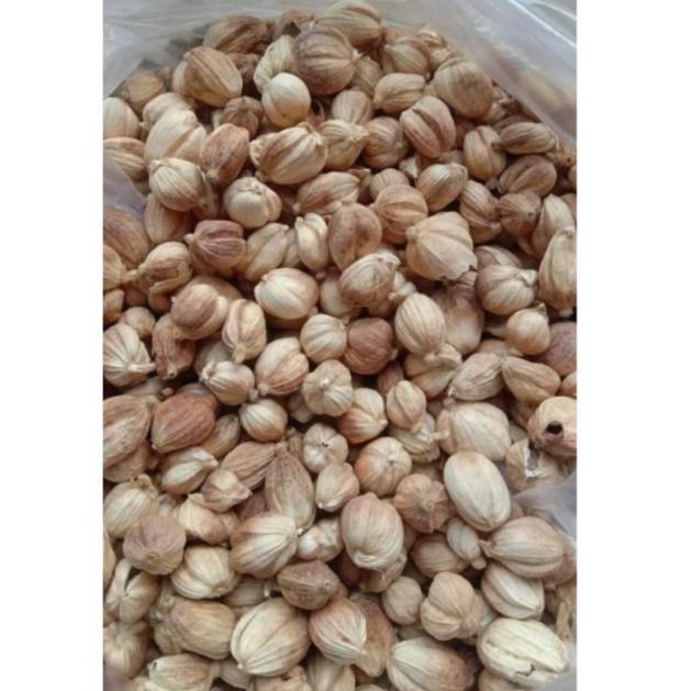 

kapulaga kering kapolaga organik kapulaga jawa kapol 1kg RB10