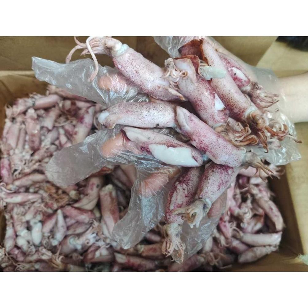 

Grosir Ikan Asin Dian - Ikan Asin Cumi Sontong Ukuran Jumbo 500 Gram (Cumi Rebus) RB10