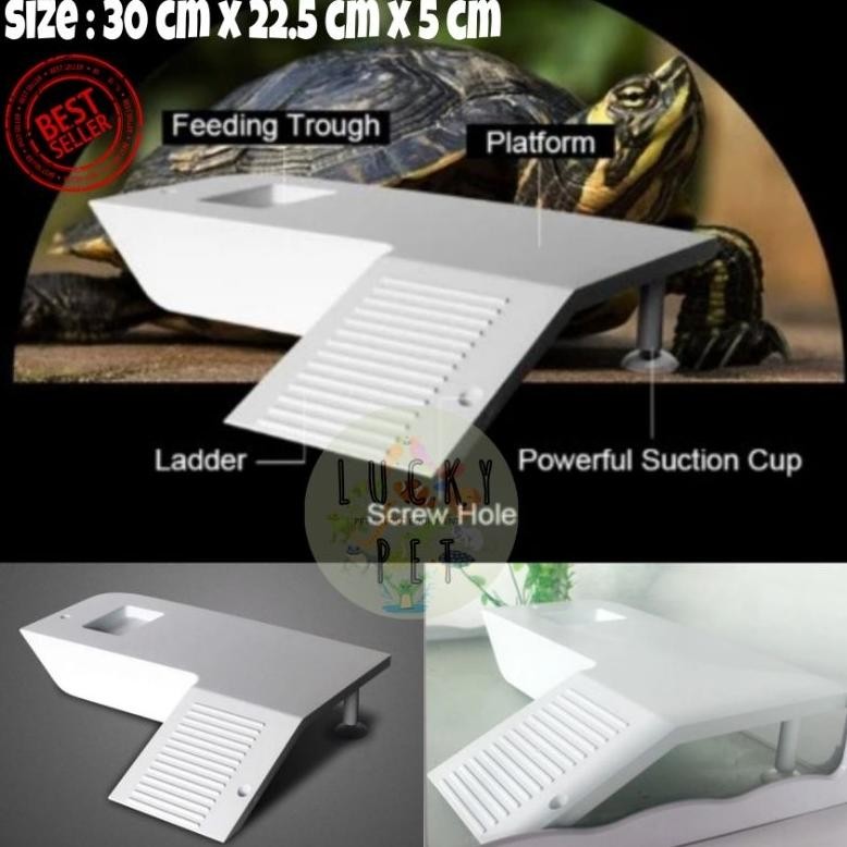 Basking kura kura air Brazil res termurah tempat jemur torto turtle kura kura turtle basking spot pl