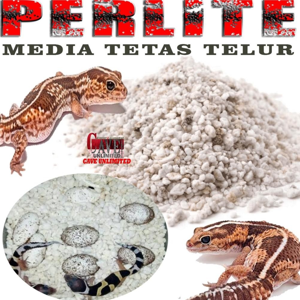 PERLIT PERLITE ALAS INCUBASI  SUBSTRAT MEDIA TETAS PENETASAN TELOR TELUR REPTILE LEOPARD GECKO BEARD