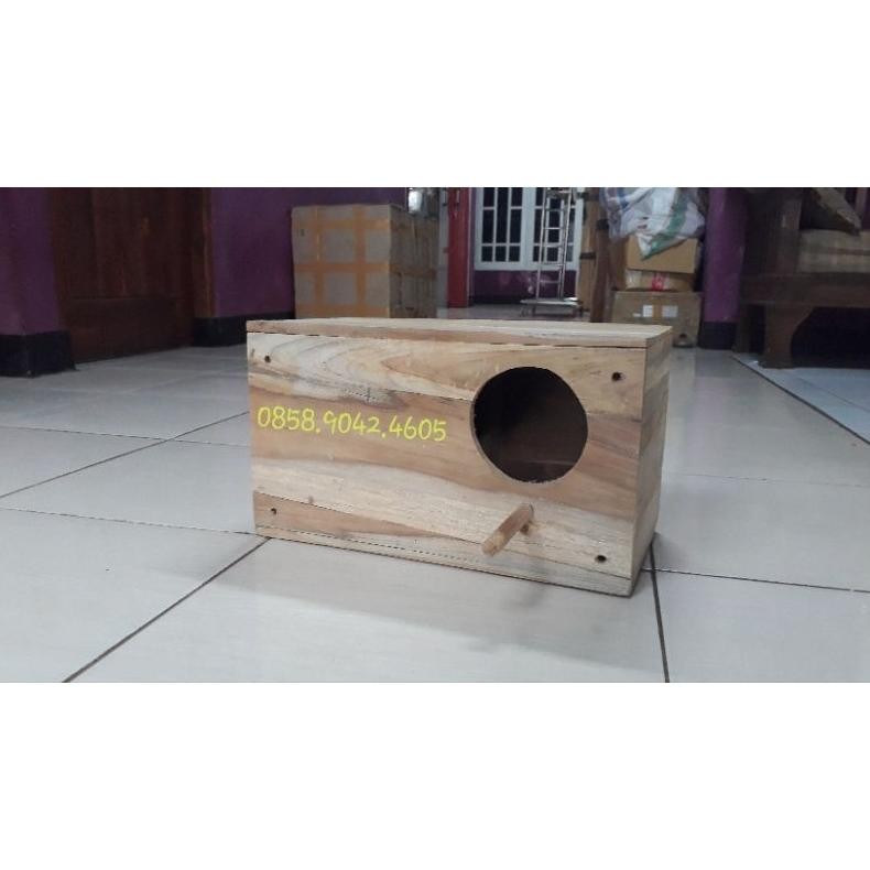 Glodok burung jalak bali jalak hongkong jalak suren AST