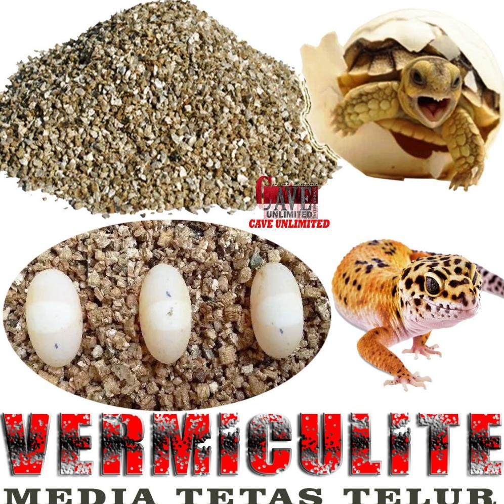 VERMICULITE REPTILE MEDIA TETAS TELUR PENETASAN TELOR LEOPARD GECKO KURA DARAT TORTOISE SULCATA PARD