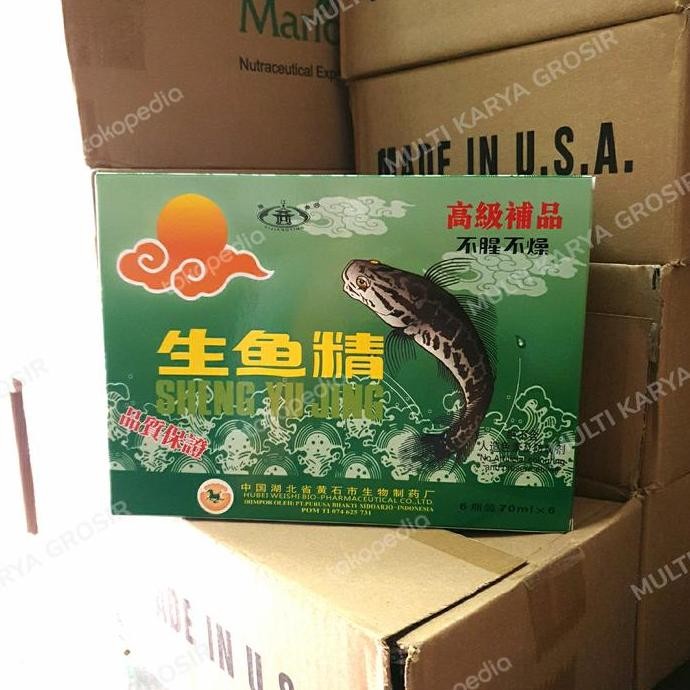 

NEW IKAN GABUS SHENG YU JING BOK BESAR