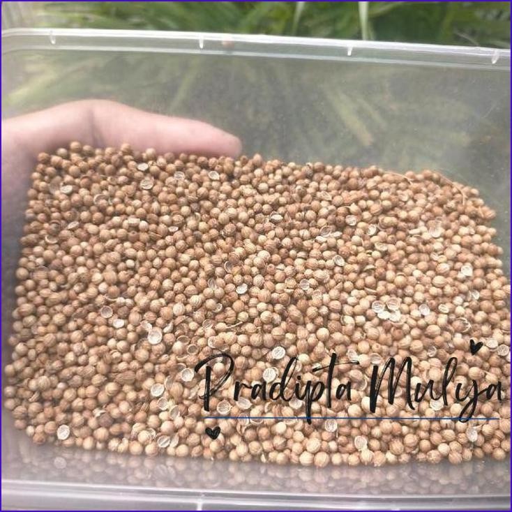 

Baru..!! Ketumbar Hitam Organik Premium Kemasan 1Kg