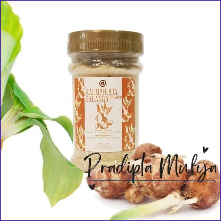 

Original..!! House Of Organix Kaempferia Galanga Powder / Kencur Bubuk 60Gr Kayu Daun Ketumbar Bahan Herbal