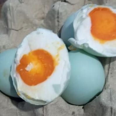 

TELUR ASIN MASIR DI JAMIN NAGIH YOOK GASS