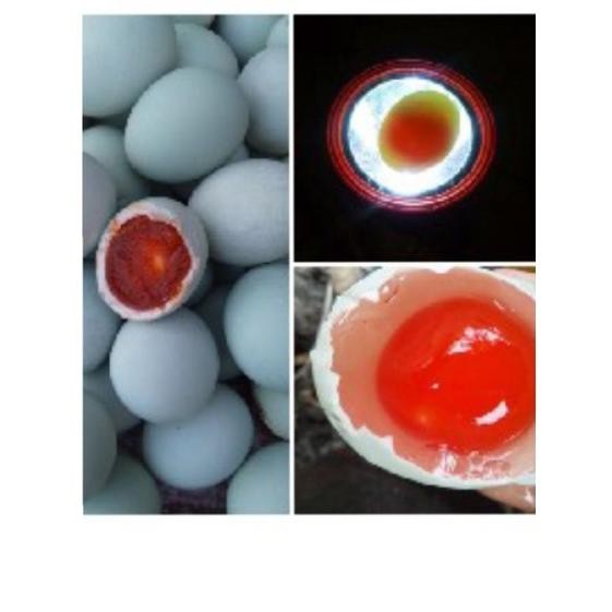 

TELOR ASIN OMEGA/ MANIK MERAH/MASIR DAN BERMINYAK GRADE A (MIN. 5BUTIR)
