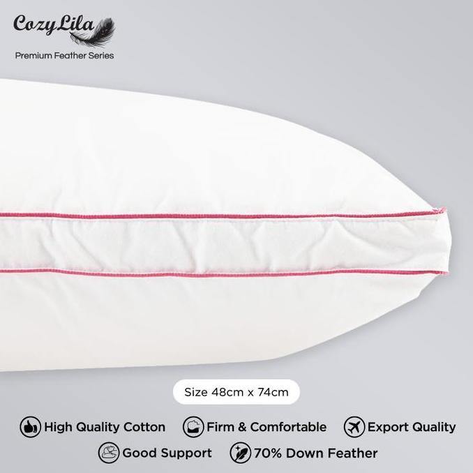 Bantal Bulu Angsa Asli 90% Down (Signature)