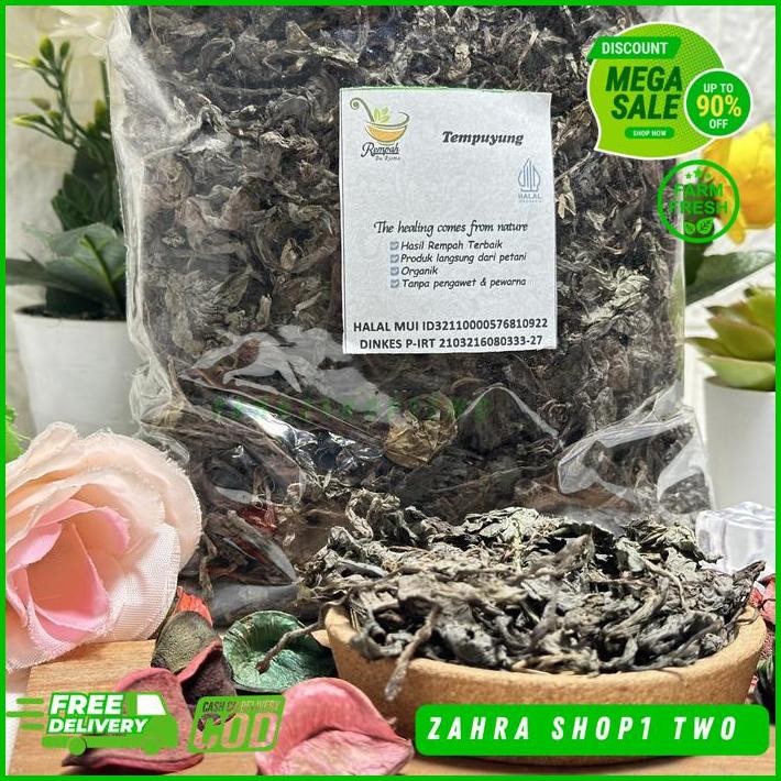 

SIMPLISIA TEMPUYUNG KERING BERAT PRODUK 100 GRAM BEST SELLER