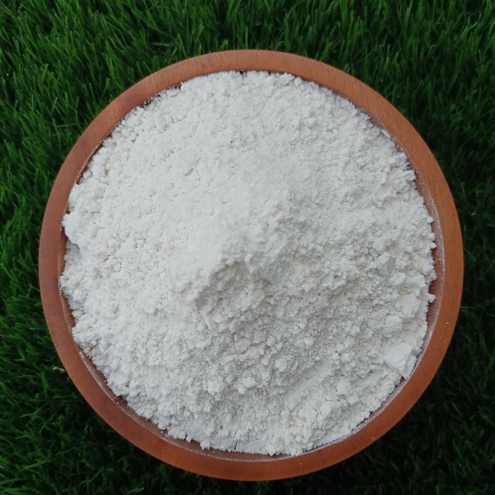 

Tepung Beras Putih FRESH, 100% Bebas Pengawet dan Bebas Gluten I 1Kg SV13
