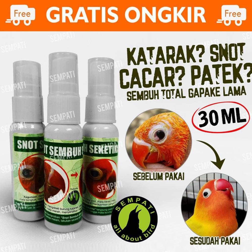 SEMPATI SNOT SEMBUH SEKETIKA MEREK SEMPATI OBAT SAKIT MATA KATARAK BENGKAK BERAIR BURUNG MURAI LOVEB