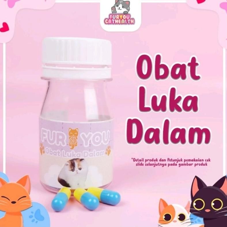 Fur You Obat Luka Dalam Obat Kucing Luka Jatuh Tertabrak Luka Dalam Anabul Luka AST