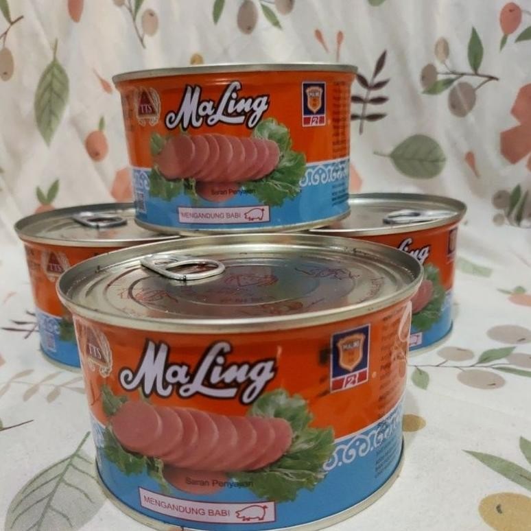 

Oz67 2er-54 Luncheon Meat TTS 170gr, 397gr | Daging Maling (NON HALAL) Original Termurah