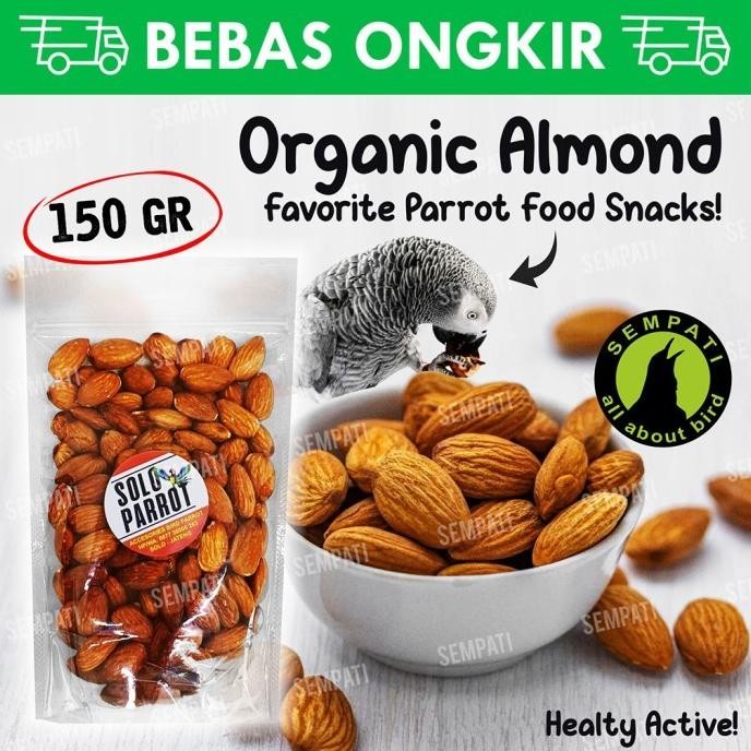 

kacang almond import 150 gr pakan makanan burung parrot parkit kakatua termurah