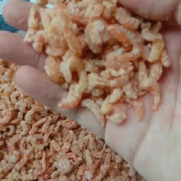 

Ebi Udang Super 500 gr