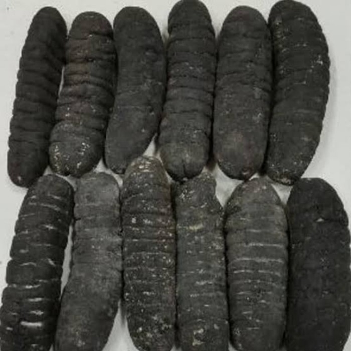 

Haisom Asli Belitung Isi 15 per 500gr / Teripang Kering Seacucumber