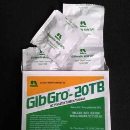 Gibgro 20TB 5gr