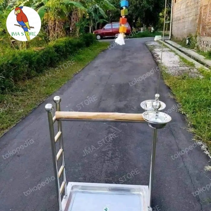 tangkringan Burung parrot kaka tua /maccaw