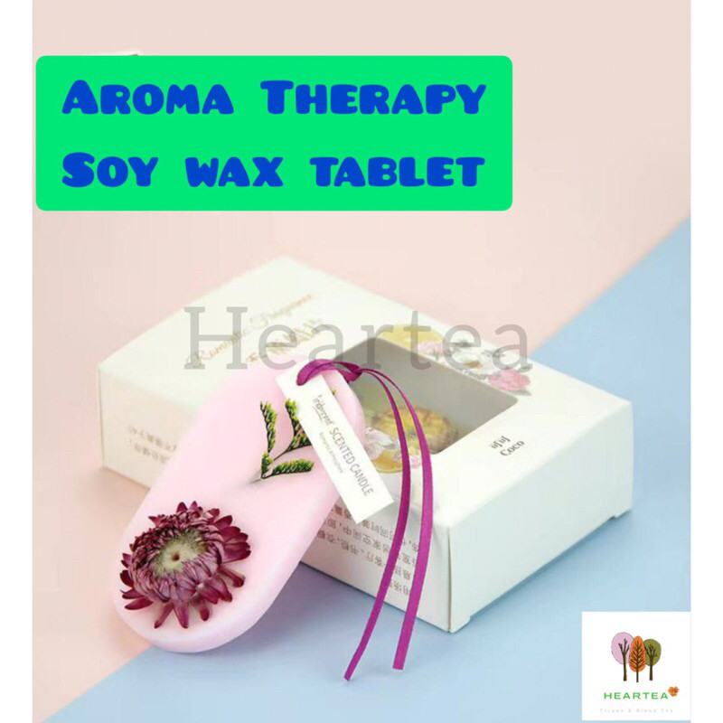 Aroma Therapy Soy Wax Tablet Gantungan Pewangi Soy Wax