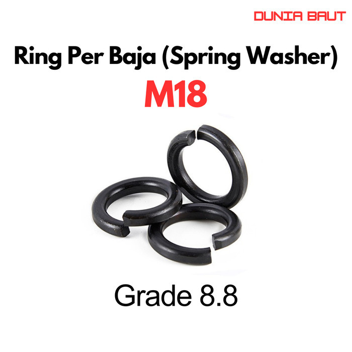 Ring Per M18 / Spring Washer M18 / WP M18 / Ring Per Baja M18 Grade 8.8 88