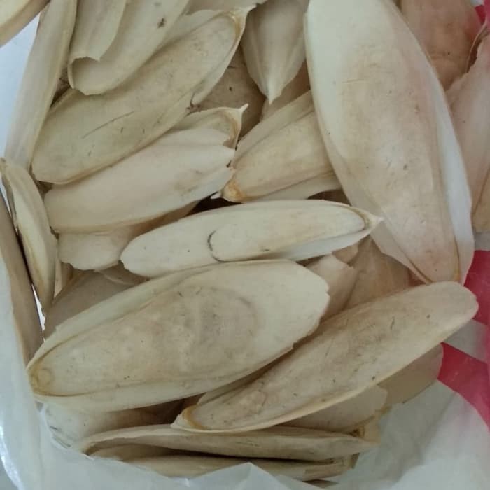Tulang Sotong 1Kg #Gratisongkir #Sale #Discount