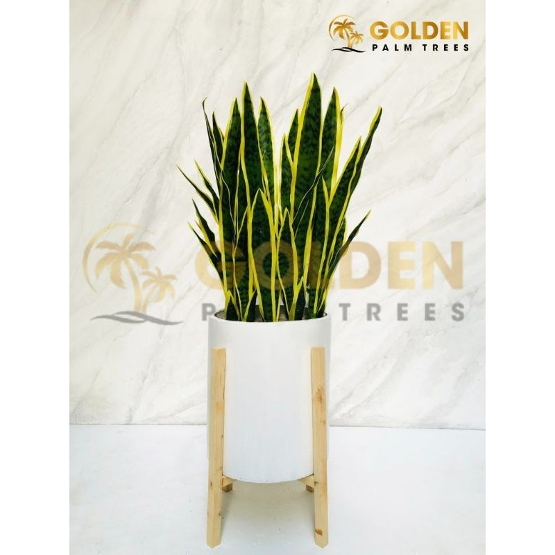 POHON ARTIFICIAL LIDAH MERTUA SANSIVERA