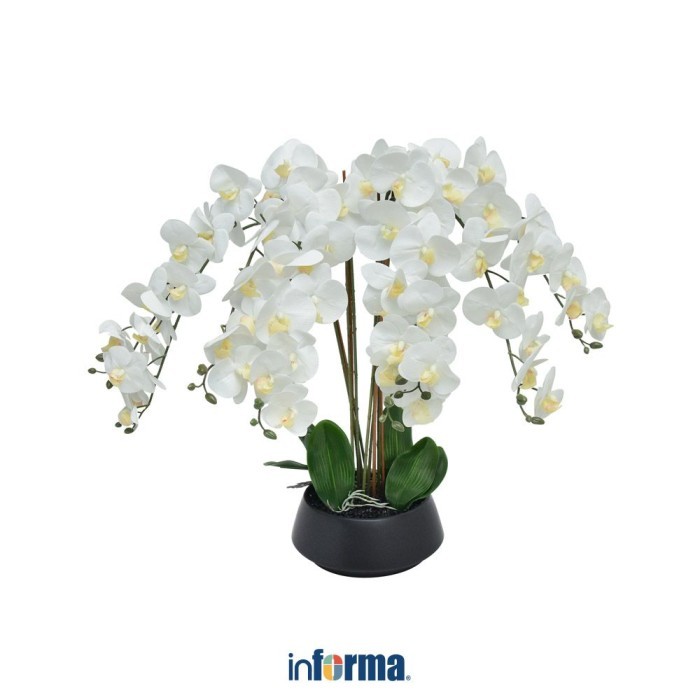 

INFORMA - BUNGA ARTIFISIAL 80 CM ORCHID 9Y43 - PUTIH