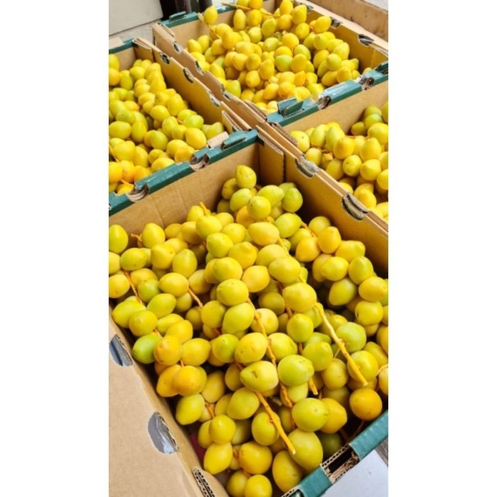 

Terlaris Kurma Muda/ Fresh 100%/ No Frozen Ready Stok