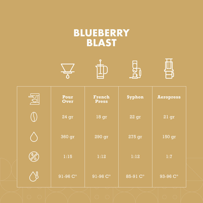 

Blueberry Blast Natural Anaerob Arabica Coffee Arabika Biji Kopi Bubuk