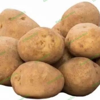 

Kentang Dieng/ Kentang Kuning Original