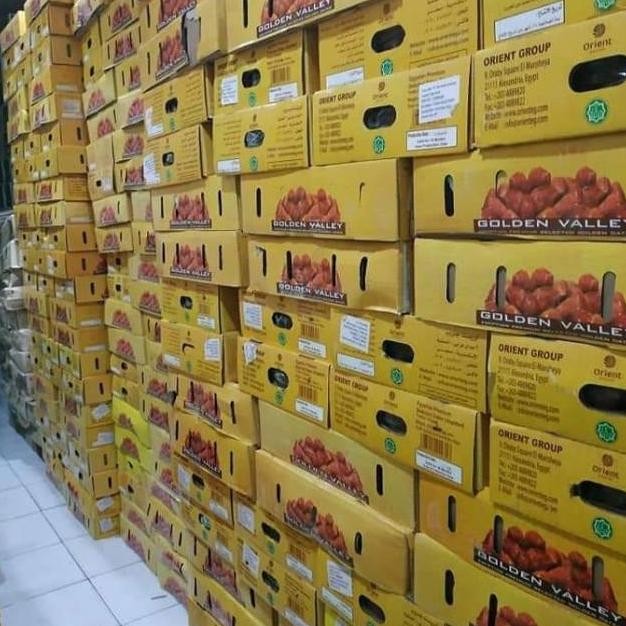 

tin- kurma mesir golden valley per 10kg