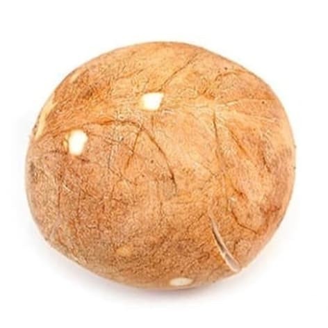 

Kelapa Parut Utuh (Bulat) - 1 Pcs [Grosir] Best Seller