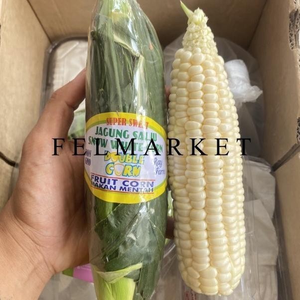

Jagung Alju Now White Mani Jagung Putih Maan Mentah Jagung Double Corn Mani Pc