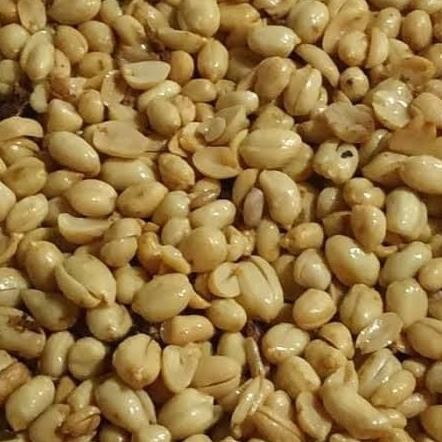 

BIG SALE KACANG BAWANG 1KG (SUDAH DI MASAK) !!!!!