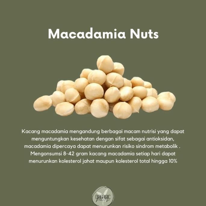

NEW PRODUK MACADAMIA NUT 500 GR PREMIUM / KACANG MACADAMIA 500 GR PREMIUM !!!!!