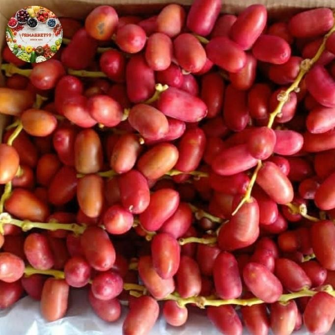 

Buah Kurma Muda Merah Fresh Import / Kurma Merah Muda / Kurma Muda / 1 Kg Rayansani376