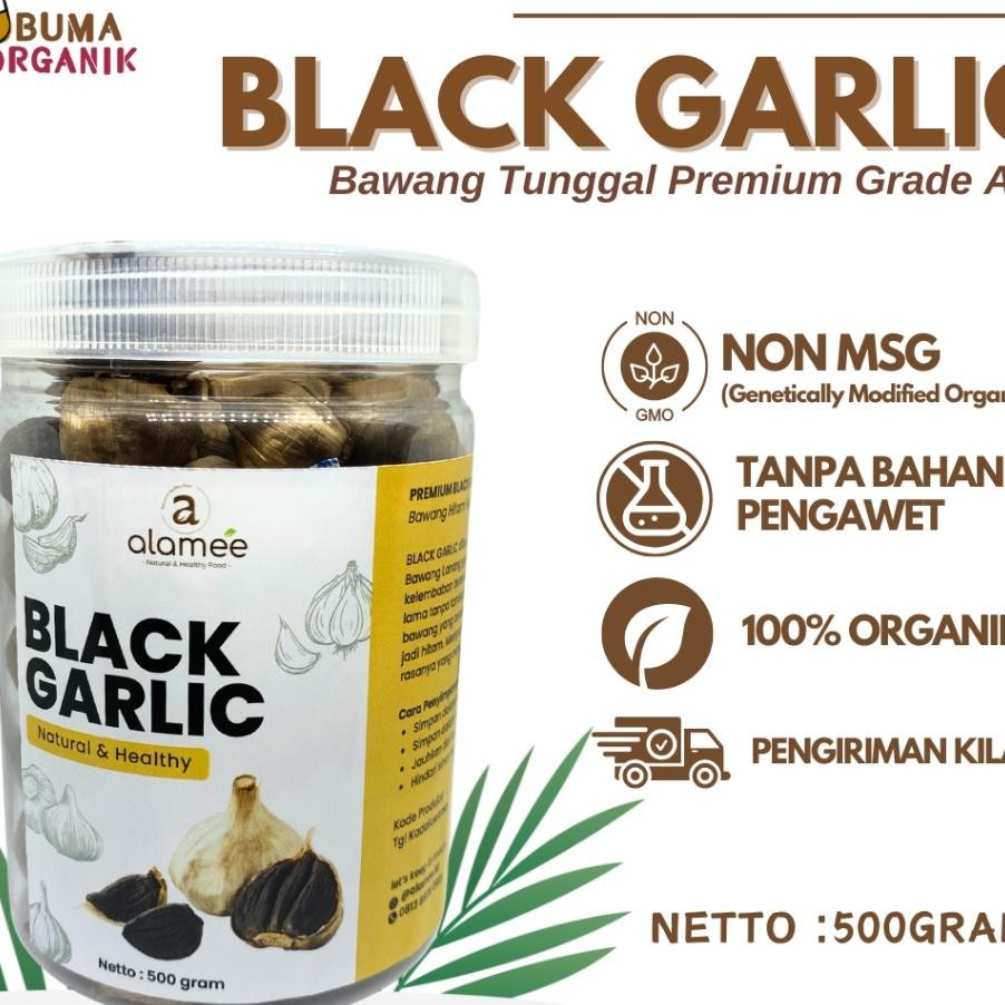 

Bla Garlic Bawang Hitam Tunggal Gr Lanang Ala Natural Bawang Hitam Gram