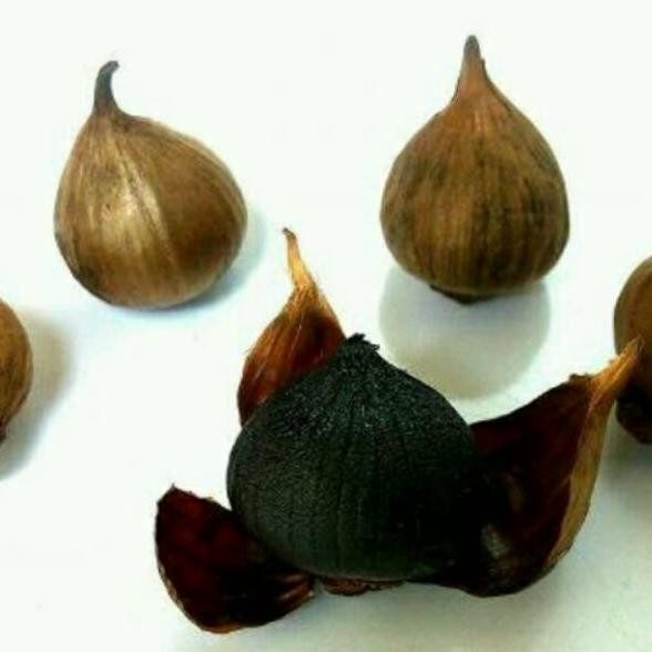 

Bla Garlic Bawang Putih Tunggal Hitam Bawang Lanang Hitam 100 Gram