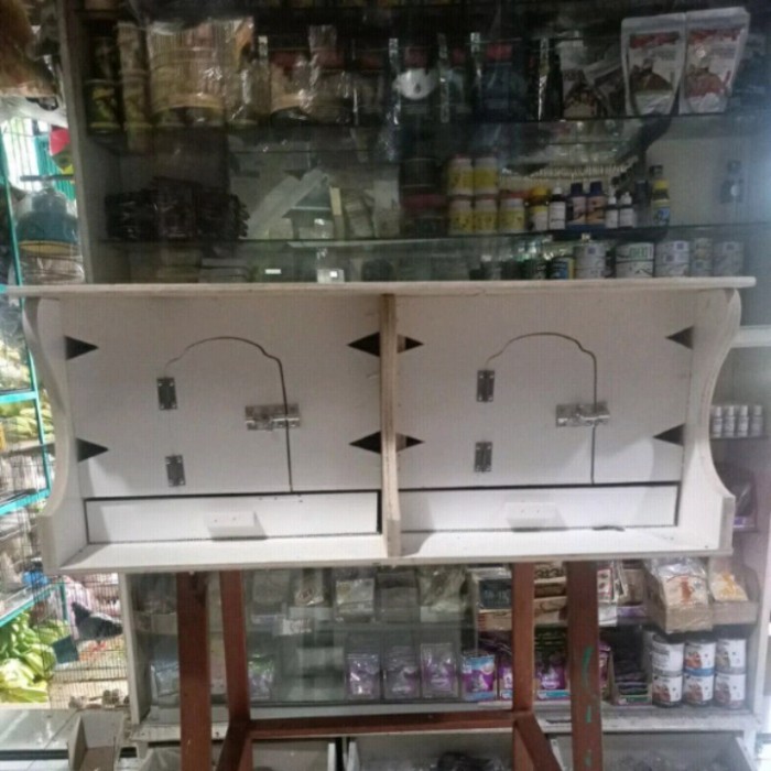 kandang burung dara gupon dara original