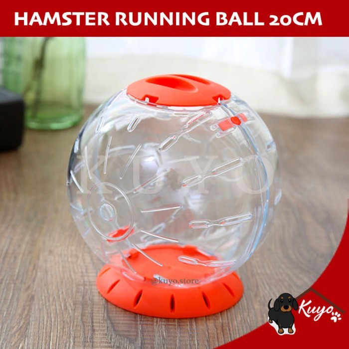 TERBARU Running Ball Big 20cm Mainan Hamster Lari Roda Putar Besar Landak Mini BISA GOSEND