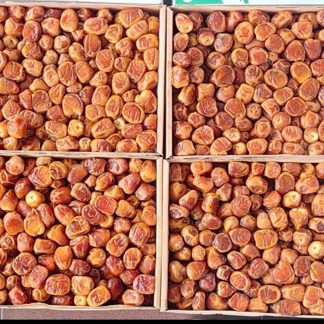 

kurma sukari 3kg al qasim premium grosir