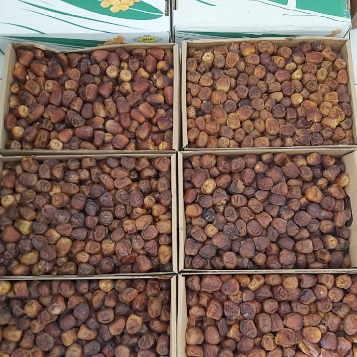 

kurma sukari 3kg